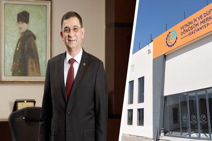 halis