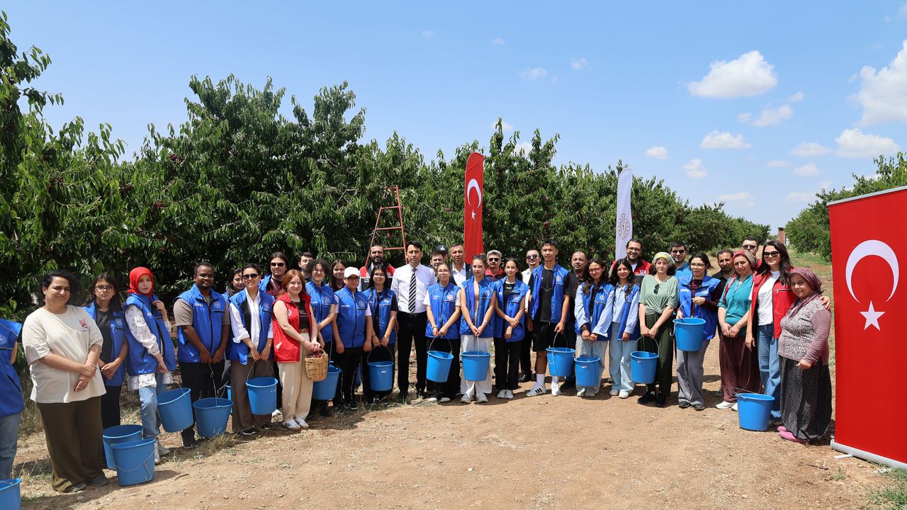 Mihalıççık'ta gönüllü hasat etkinliği