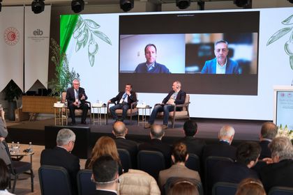 Sürdürülebilir zeytin tarımı için rekolte tespit yöntemi