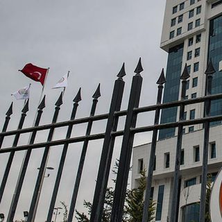 Petshoplarda yaban hayvanı satışı için ruhsat şartı