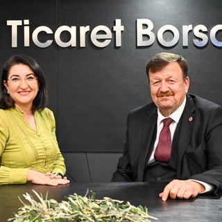 Zeytin üreticisi destek bekliyor: Avrupa'da 1,5 Euro, bizde 0,6 kuruş