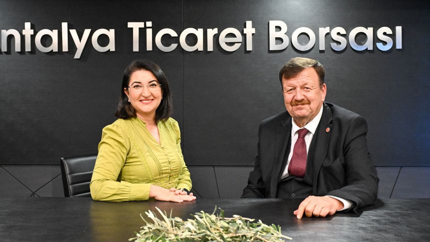 Zeytin üreticisi destek bekliyor: Avrupa'da 1,5 Euro, bizde 0,6 kuruş