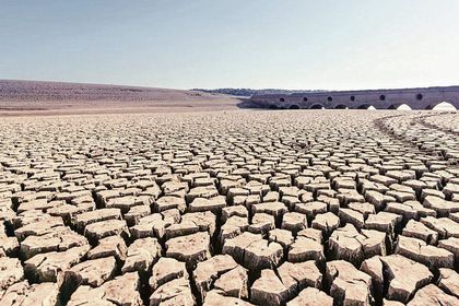 Karbonu azaltırken ekosistemi yok etmeyelim