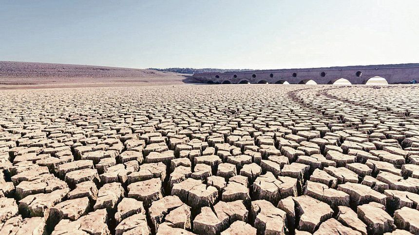 Karbonu azaltırken ekosistemi yok etmeyelim