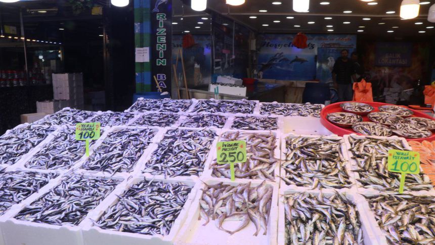 Hamsi ve istavrit 100, mezgit 250 lira Hamsi ve istavrit 100, mezgit 250 lira