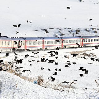 Turistik Doğu Ekspresi'nin yeni sezon biletlerinin satışı yarın başlıyor Turistik Doğu Ekspresi'nin yeni sezon biletlerinin satışı yarın başlıyor