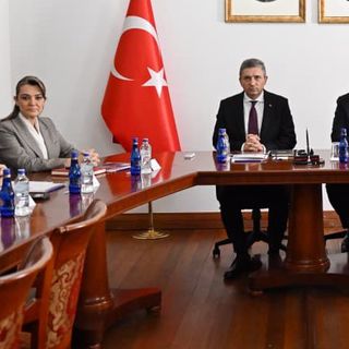 Orman yangınlarına karşı elektrik hatlarında önlem alınıyor