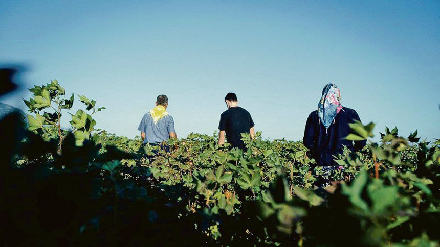 Suya sahip çıkmak için tarlada iş birliği Suya sahip çıkmak için tarlada iş birliği
