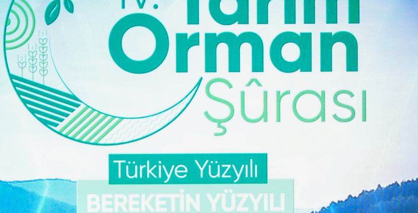 davut dogan1111