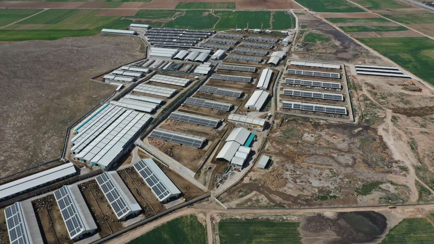 'Net sıfır hedefine giden yol enerji verimliliğinden geçiyor'