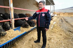 Yumaklı'dan 'kırmızı et' açıklaması: Yüzde 90 ile 93 arasında yeterliliğimiz var