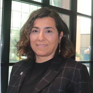 "İnşaatta ustalar da kayıt altına alınıyor, denetimde sorumluluk genişliyor"
