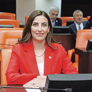 Evrim Rızvanoğlu: ‘Yeşilin’ ekonomisi var, hükümet ağaç diktik demekle yetiniyor