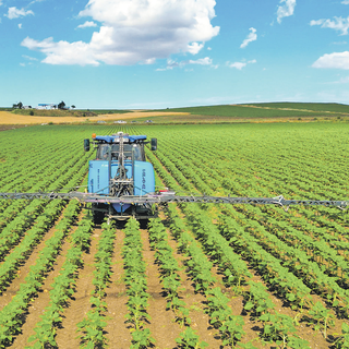 Tarımsal girdi fiyatları şubatta yüzde 3,1 arttı