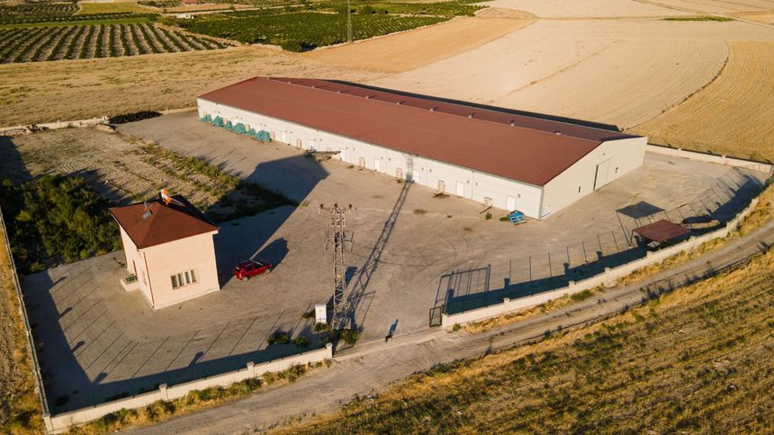 Hitit Mantar, 350 tonluk üretim kapasitesiyle pazar payını artıracak