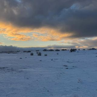 Çimsa'dan Bilecik'teki maden projesi ruhsatının iptali için başvuru