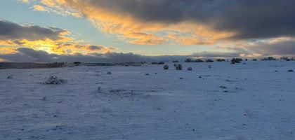 Çimsa'dan Bilecik'teki maden projesi ruhsatının iptali için başvuru