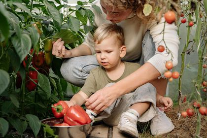 Sakarya’da çocuklara özel uygulamalı tarım alanları kurulacak
