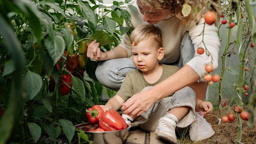 Sakarya’da çocuklara özel uygulamalı tarım alanları kurulacak