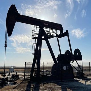 2 ildeki petrol işletme ruhsatları BOTAŞ'a devredildi