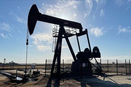 2 ildeki petrol işletme ruhsatları BOTAŞ'a devredildi