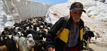 Küçükbaş hayvan yetiştiriciliği için 13 maddelik öneri