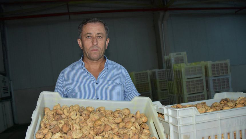 Kuru incir alım fiyatları açıklandı