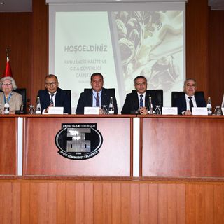 Kuru incir ihracatında Avrupa’nın payı yüzde 46 oldu