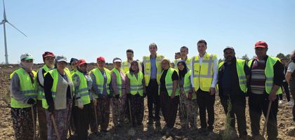 Enerji ve Tabii Kaynaklar Bakanlığı Çanakkale’ye 100 bin fidan dikiyor